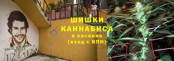 дживик Баксан