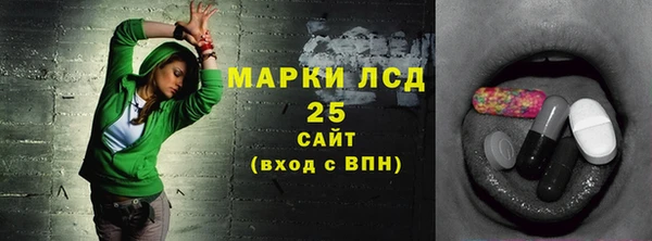 дживик Баксан