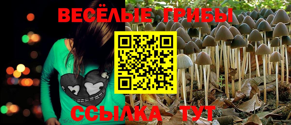 Псилоцибиновые грибы Psilocybine cubensis  Псилоцибиновые грибы GOLDEN TEACHER  Вход с VPN  Заречный 